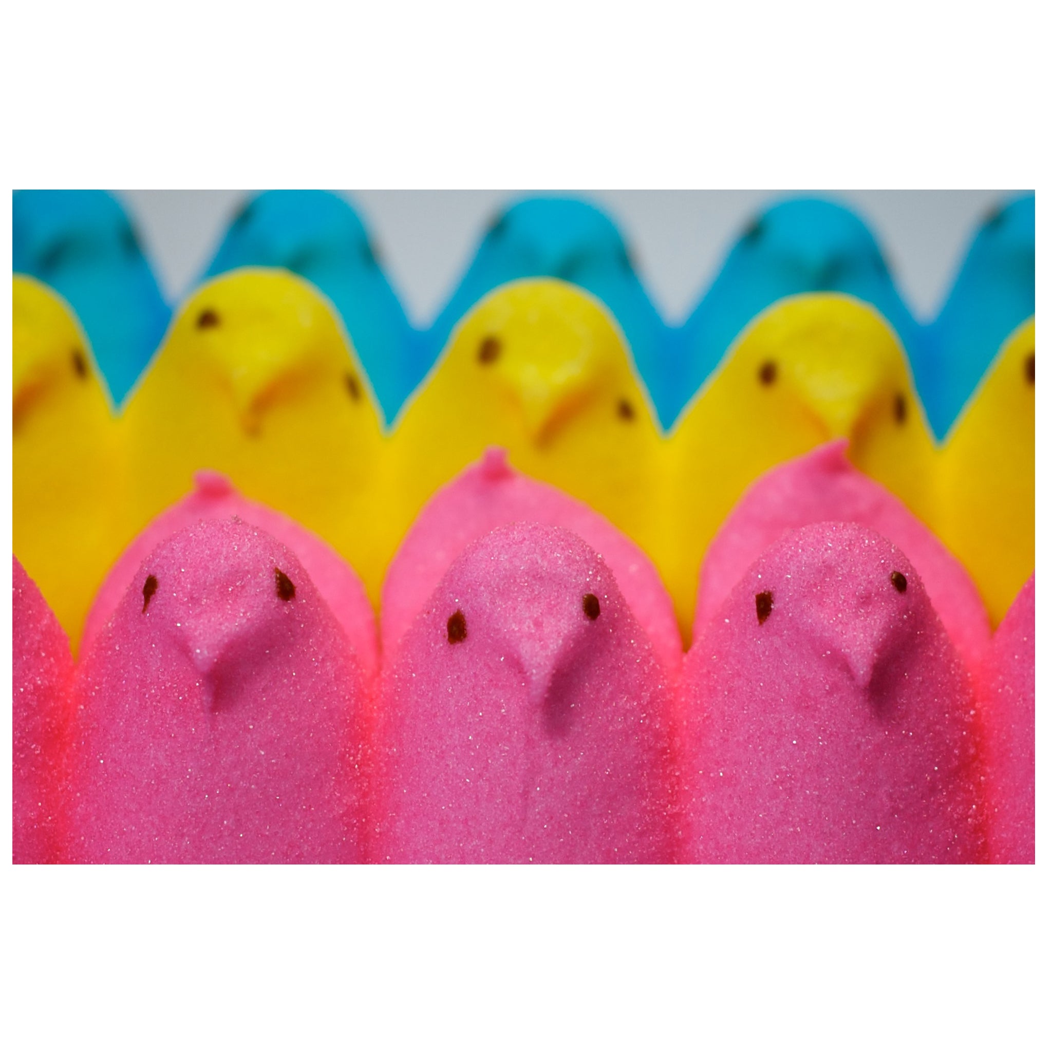 Peeps Marshmallow Chicks -(3 pack)