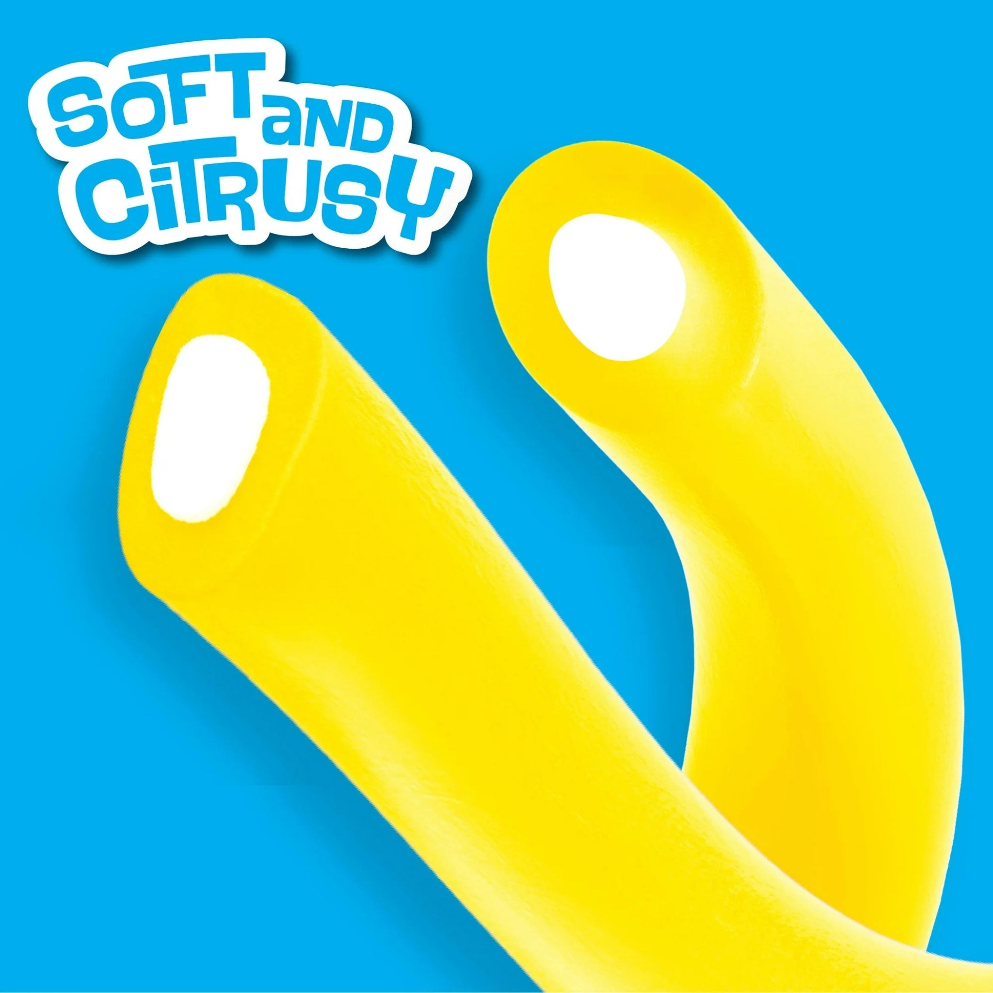 Lemonheads Ropes 9oz bag