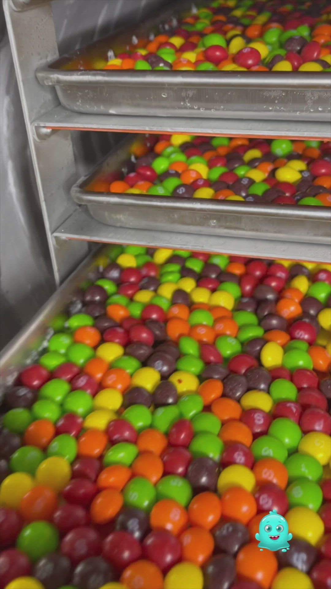 Freeze Dried Rainbow Candy